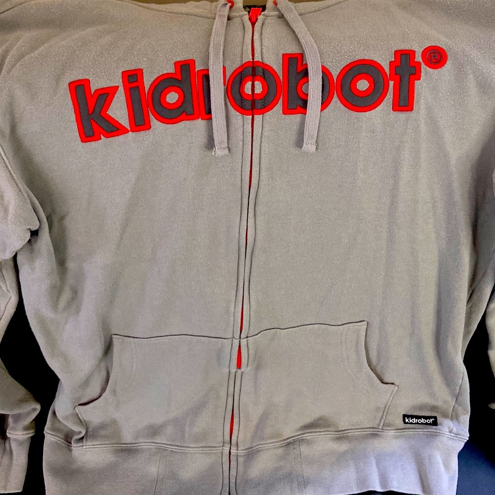 Kid Robot hoodie in a Large